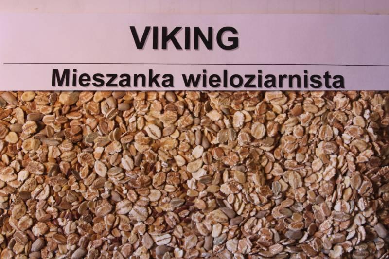 mieszanka viking